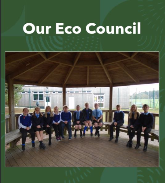Eco Council News